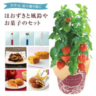ほおずき 鉢植え 初盆 苗 鬼灯 ほおずき鉢植え 6種から選べるセット 風鈴 わらび餅 こがね芋 カステラ 鉢…