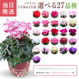 VN Mtg VN5 VN4  A Ε i v[g  Ԕ ߂  5 4   A   sN  WbNXbh NX}X a