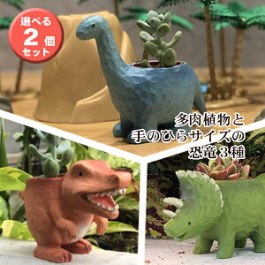 17Y A A  gPgvX eBmTEX uLITEX  Iׂ2Zbg j CeA G IV 킢 a v[g t[Mt