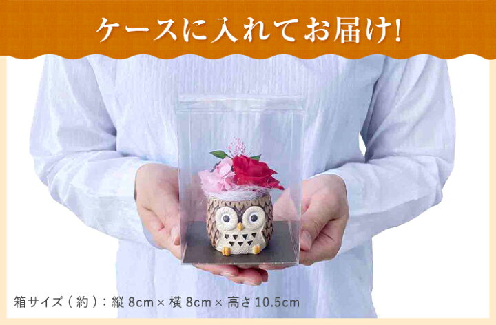 楽天市場 3 18 全商品 ポイント3倍 送料無料 プリザーブドフラワー 縁起 寅 富士山 鶴亀 達磨 だるま 紅白 迎春 和 セット 選べる 花 ギフト プレゼント 花 アレンジメント 誕生日 お祝い 花のギフト社onlineshop