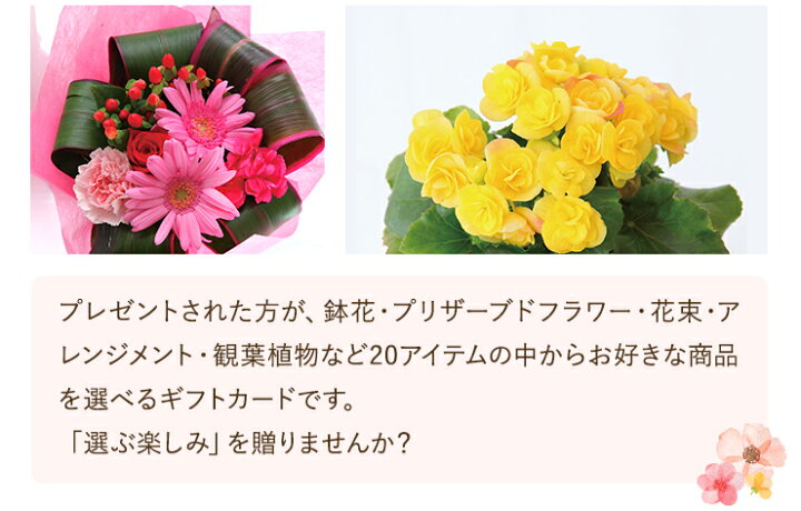 楽天市場 あす楽 14時まで カタログギフト アクイユ ローズコース 送料無料 花 花ギフト フラワー ギフト プレゼント 鉢植え 花鉢 鉢花 花束 生花 アレンジ プリザーブドフラワー 誕生日 お祝い お祝い返し 内祝い ノベルティ 景品 記念品 粗品 お中元 花のギフト社