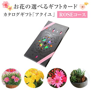 鉢花 ギフトの人気商品 通販 価格比較 価格 Com