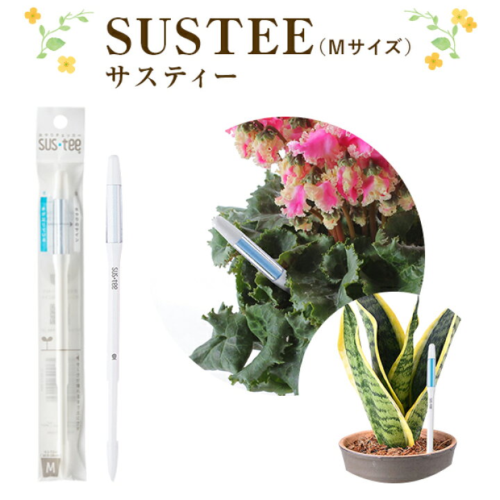 楽天市場 サスティー M Sustee 水やりチェッカー M サイズ ホワイト サスティ キャビノチェ 水やり 可視化 観葉植物 鉢花 花鉢 花 鉢植え 園芸用品 植物とセットで購入すると送料無料 花のギフト社onlineshop