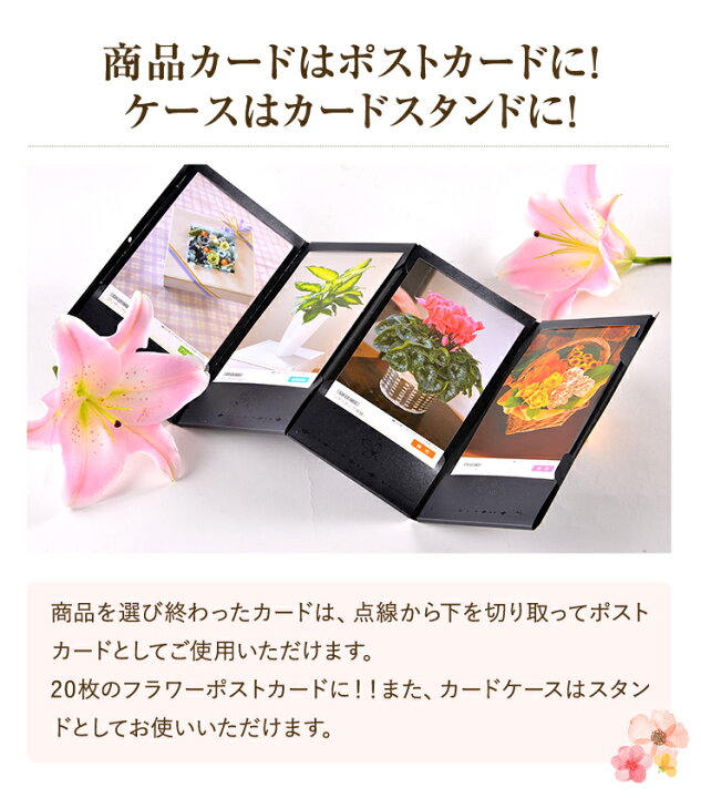 楽天市場 あす楽 14時まで カタログギフト アクイユ リリーコース 送料無料 花 花ギフト フラワー ギフト プレゼント 鉢植え 花鉢 鉢花 花束 生花 アレンジ プリザーブドフラワー 誕生日 お祝い お祝い返し 内祝い ノベルティ 景品 記念品 粗品 花のギフト社onlineshop