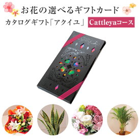 楽天市場 観葉植物 カタログギフト チケット の通販