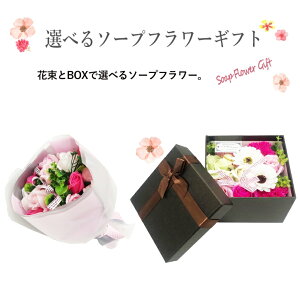 \[vt[sNu[P[ {bNX@t[  Mtg v[g ԂƃXC[c Zbg Iׂ  AWg k`֐ tNE a j