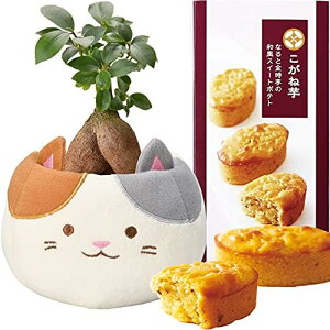 17Y KW} JRG ϗtA  Ԕ  A ˓ ˈ і ьP[L a j  v[g XC[c N L ɂɂɂ