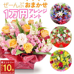 yGg[P10{2020-272z܂ AWg ԑ t[Mtg v[g a j JXj ސEj җj LO j     t