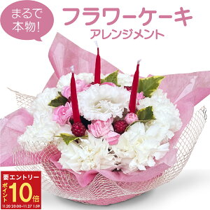 yGg[P10{2020-272zzB 14Y ŋz  t[P[L HׂȂ aMtg j jp AWg CeA v[g ؂₩  