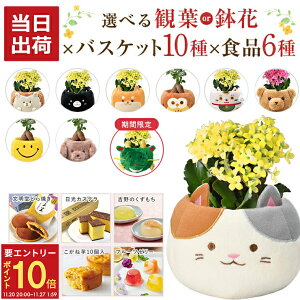 yGg[P10{2020-272z17Y KW} JRG ϗtA  Ԕ  A  ǂĂ ̗  JXe ˓ g̊ [[ a