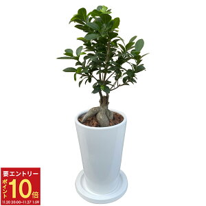 yGg[P10{2020-272zzB 14Y ϗtA CeA KW} Mtg 픫   ϗt A A    K̖ j 