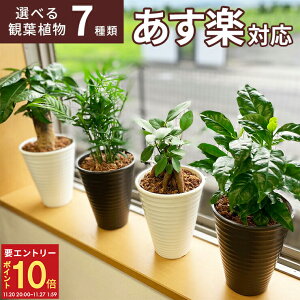 yGg[P10{2020-272zzB 14Y ϗtA Iׂ 7 CeA KW} pL TXxA e[uV TZxA KW}̖ V̖ ϗt A 