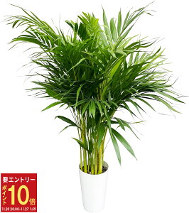 yGg[P10{2020-272zzB 14Y V̖ ϗtA AJV { ^ V 7 ϗt A p 7   ^ A CeA JXj ړ]j Vzj