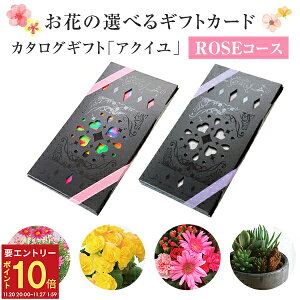 yGg[P10{2020-272z17Y J^OMtg ANC [YR[X   ԃMtg t[ Mtg v[g A Ԕ  ԑ  AW v