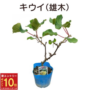 yGg[P10{2020-272zLEC Y c 󕲎 wC[h g A c  ʎ a t[Mtg v[g LECA LEC̖  Ԕ 