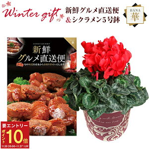 yGg[P10{2020-272zVN A  Mtg v[g J^OMtg VNO ؃R[X  Ԍn 5  Ԕ ߂ 5   Ε a