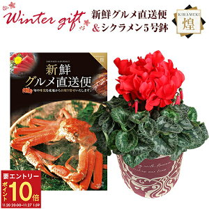 yGg[P10{2020-272zVN A  Mtg v[g J^OMtg VNO R[X  Ԍn 5  Ԕ ߂ 5   Ε a