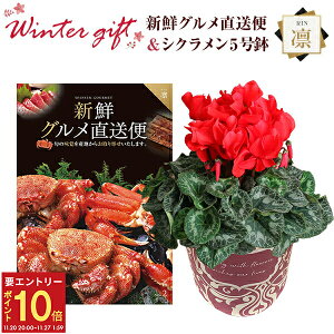 yGg[P10{2020-272zVN A  Mtg v[g J^OMtg VNO zR[X  Ԍn 5  Ԕ ߂ 5   Ε a