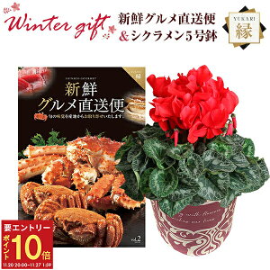 yGg[P10{2020-272zVN A  Mtg v[g J^OMtg VNO R[X  Ԍn 5  Ԕ ߂ 5   Ε a