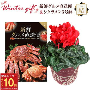 yGg[P10{2020-272zVN A  Mtg v[g J^OMtg VNO R[X  Ԍn 5  Ԕ ߂ 5   Ε a