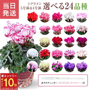 yGg[P10{2020-272zVN Mtg VN5 VN4  A Ε i v[g  Ԕ ߂  5 4   A   