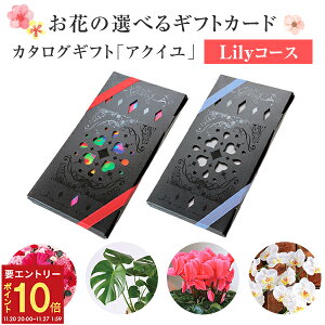 yGg[P10{2020-272z17Y J^OMtg ANC [R[X   ԃMtg t[ Mtg v[g A Ԕ  ԑ  AW v