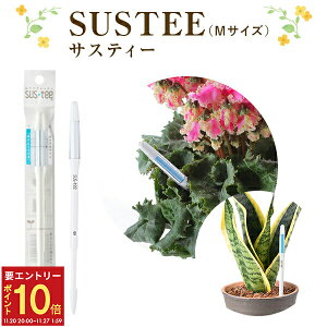 yGg[P10{2020-272zTXeB[ m SUSTEE `FbJ[ M TCY zCg TXeB Lrm`F   ϗtA  Ԕ  A |pi yAƃZbg