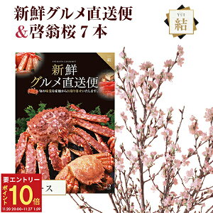 yGg[P10{2020`272z[   7{ ԑ ؉  TN   ̂  t[Mtga j ʉ ԃMtg v[g Ԍ 