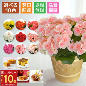 yGg[P10{1/1 9:59܂Łz17Y xSjA [K[X A   Mtg v[g  a ̓ j t[Mtg a َq XC[c JXe 