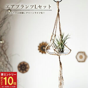 yGg[P10{1/1 9:59܂ŁzzB 14Y GAvc nMOlbg Mt ݂艺 R  ҂ A ϗtA  CeA O[ t[Mtg u