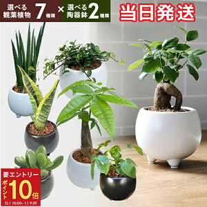 yGg[P10{1/1 9:59܂Łz17Y ϗtA ~j ϗt    ^  |bg KW}  TXxA ̂Ȃ pL K̖ TZxA J|bN 