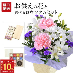 yGg[P10{1/1 9:59܂Łz17Y    @v Zbg  Zbg  AWg  蕨  {  G[\N }} [\N 