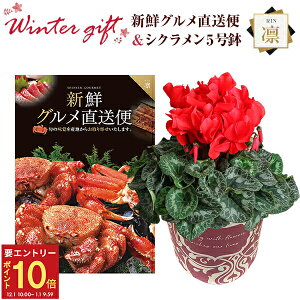 yGg[P10{1/1 9:59܂ŁzVN A  Mtg v[g J^OMtg VNO zR[X  Ԍn 5  Ԕ ߂ 5   Ε a