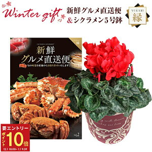 yGg[P10{1/1 9:59܂ŁzVN A  Mtg v[g J^OMtg VNO R[X  Ԍn 5  Ԕ ߂ 5   Ε a