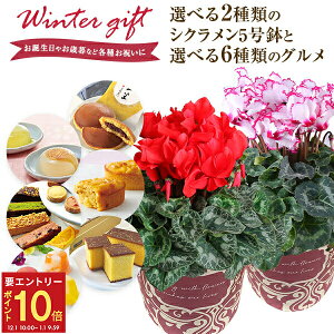 yGg[P10{1/1 9:59܂Łz17Y VN 5  Ԕ  5 A  Mtg v[g Iׂ 6 َq  rNgA߂   ǂĂ 