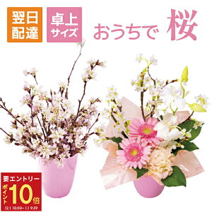 yGg[P10{1/1 9:59܂Łz[  ̉ ̉ TN ̂  AWg ؂藎Ƃ } ׂĒZ}  p   }t  a v