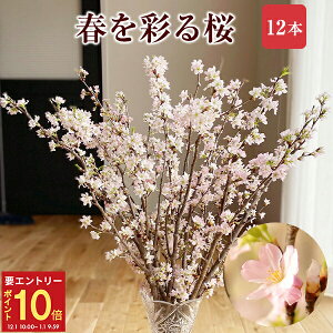 yGg[P10{1/1 9:59܂Łz  [ 12{ ԑ a ؉  TN  ̂ t[Mtg a j Əj wj ʉ ԃMtg v[g Ԍ 