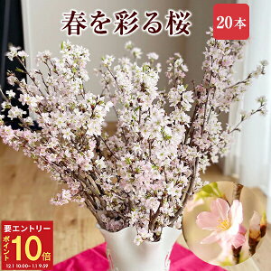 yGg[P10{1/1 9:59܂Łz  [ 20{ ԑ a ؉  TN  ̂ t[Mtg a j Əj wj ʉ ԃMtg v[g Ԍ 