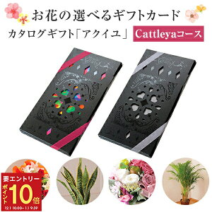 yGg[P10{1/1 9:59܂Łz17Y J^OMtg ANC JgAR[X   ԃMtg t[ Mtg v[g A Ԕ  ԑ  AW vU