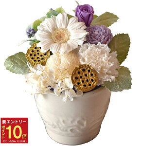 yGg[P10{1/1 9:59܂Łz17Y  vU[uht[ `͂`    { dp   vU[uh   @ l\