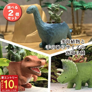 yGg[P10{1/1 9:59܂Łz17Y A A  gPgvX eBmTEX uLITEX  Iׂ2Zbg j CeA G IV 킢