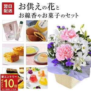 yGg[P10{1/1 9:59܂Łz17Y    @v  AWg َq Zbg    蕨  AW [[  [\N  