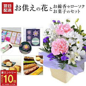 yGg[P10{1/1 9:59܂Łz17Y    @v  AWg َq  Zbg ԃAW   蕨  {  J} L