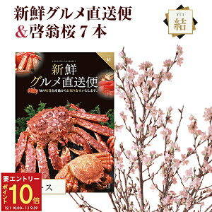 yGg[P10{1/1 9:59܂Łz[   7{ ԑ ؉  TN   ̂  t[Mtga j ʉ ԃMtg v[g Ԍ R` 