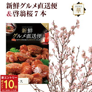 yGg[P10{1/1 9:59܂Łz[   7{ ԑ ؉  TN   ̂  t[Mtga j ʉ ԃMtg v[g Ԍ R` 