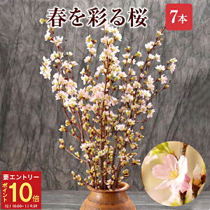 yGg[P10{1/1 9:59܂Łz  [ 7{ ԑ a ؉  TN  ̂ t[Mtg a j Əj wj ʉ ԃMtg v[g Ԍ 