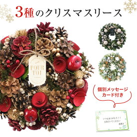 【エントリーでP10倍★1/1 9:59まで】当日発送17時〆 クリスマス リース ナチュラルリース Mサイズ 送料無料 直径24cm クリスマスリース 誕生日 プレゼント ギフト 冬 秋 パーティ 屋外 玄関 ドア 飾り 造花 ドライフラワー フラワーリース お祝い おしゃれ かわいい