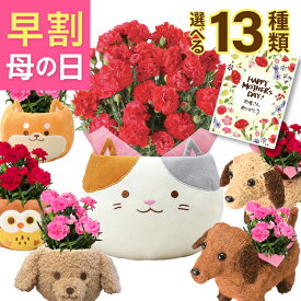 母の日 プレゼント ギフト カーネーション 花 鉢植え フラワーギフト 花鉢 鉢花 お花 東北〜関西 送料無料 おしゃれ かわいい 母の日ギフト 母の日プレゼント 三毛猫 猫 犬 花のギフト社