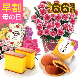 ＼超早割／ 母の日 早割 プレゼント ギフト カーネーション 花 生花 ギフト 鉢植え 5号 花鉢 カステラ どら焼き 人気 おしゃれ かわいい 希少 母の日ギフト 東北～関西 送料無料 スイーツ お菓子 洋菓子 ギフトセット 花のギフト社