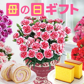 【ポイント10倍！5/17まで】 母の日 プレゼント ギフト カーネーション 花 生花 ギフト 鉢植え 5号 花鉢 カステラ どら焼き 人気 おしゃれ かわいい 希少 母の日ギフト 東北〜関西 送料無料 スイーツ お菓子 洋菓子 ギフトセット 花のギフト社